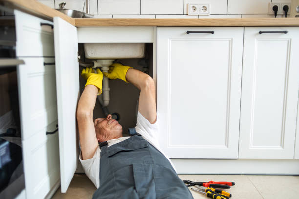 Best Drain Cleaning Services  in Terre Haute, IN