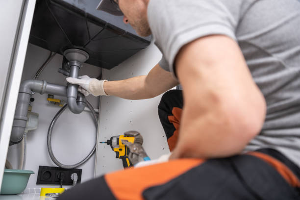 Best Residential Plumbing Services  in Terre Haute, IN